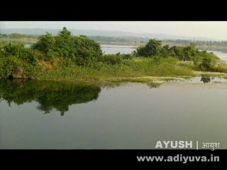 Dahanu Darshan | Kavadas Damp