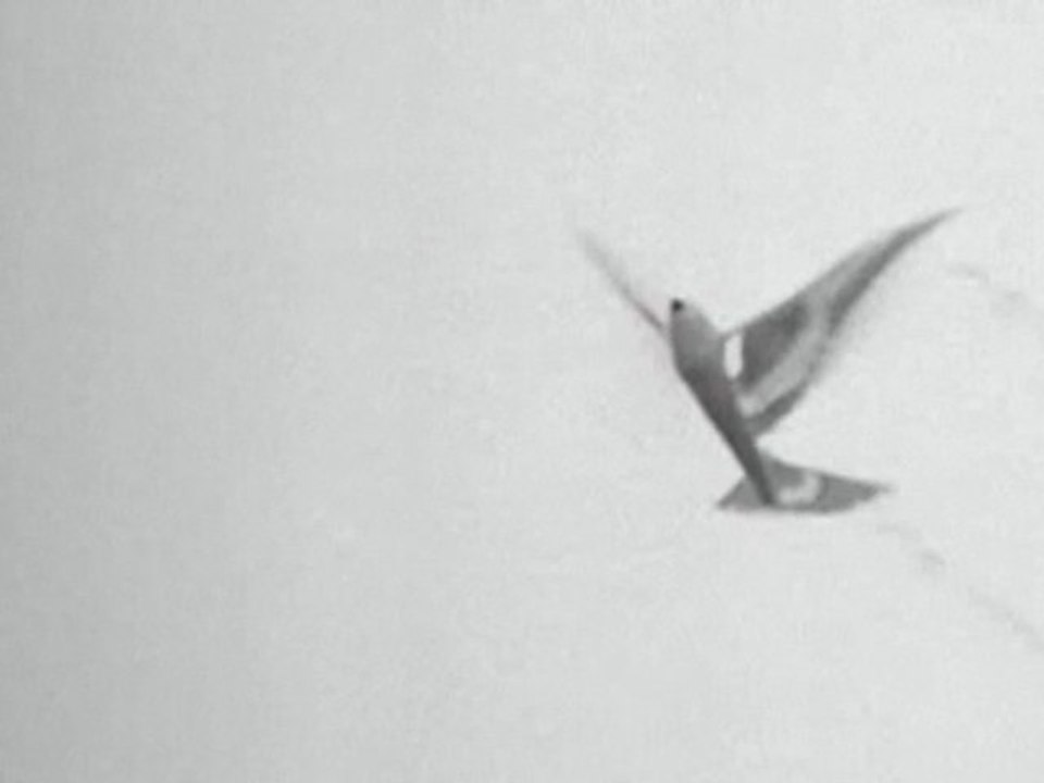 Death of an Angel - The Kingsmen