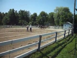 tour de ring flat pour la premiere fois avec ma jument !