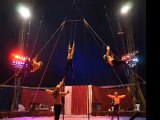 Çinlilerin müthiş gösterisi-safari sirki