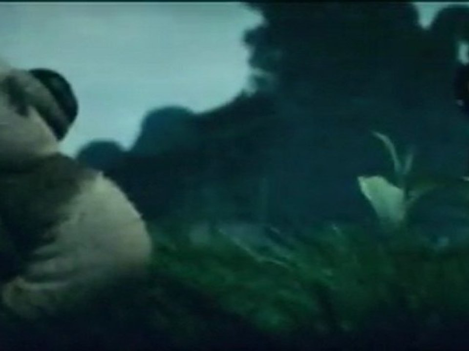Kung fu panda