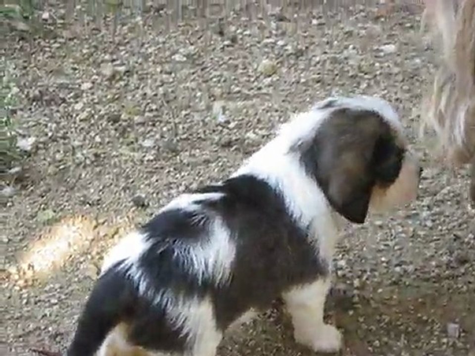 LA PETITE D'E'MILIE 1 MOIS