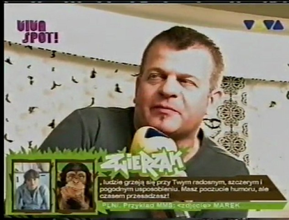 VIVA SPOT KOMBII  1