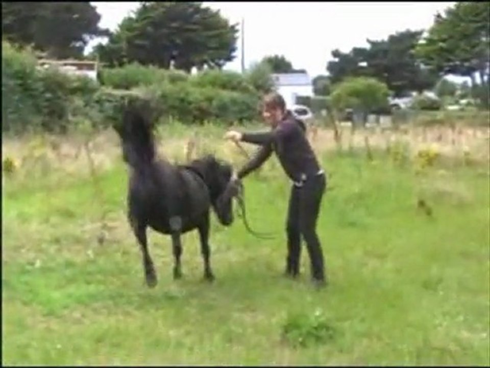 ete 2011