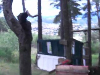 HLAF airsoft résistance fort 2