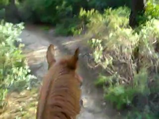 1ère sortie - 25.07