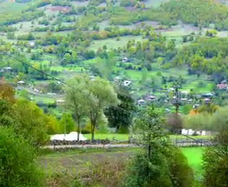 niksar