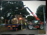 Best Winchester tree surgeons - Call for a FREE tree surgery quote