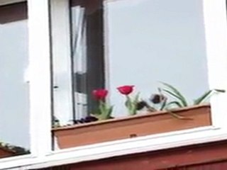 Eda'lı "Yanıyorum (Bahça Duvarından Aştım)"