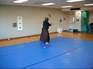 Muso Jikiden Eishin Ryu Tachi Iaijutsu