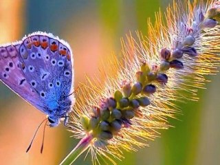 YOL VER DAĞLAR BEN SILAMA GİDEYİM-MUSA EROĞLU