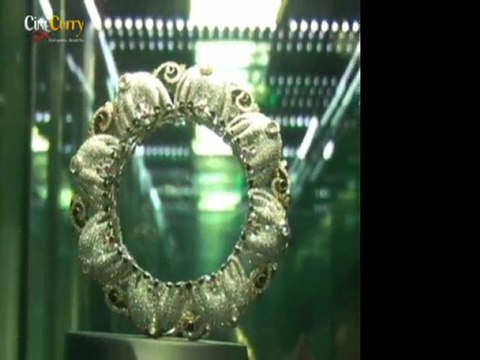 Madhuri Dixit At Emeralds for Elephants Jewellery Launch