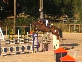 Page D'Helby et nicolas Gaubert 2em du Gd Prix Pro 2 130 a Vacquiers 07:2011