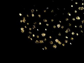 feu d'artifice juillet 2011