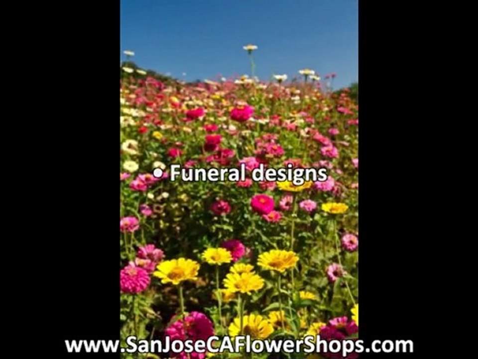 Cheap Flower Delivery in Your Local Area