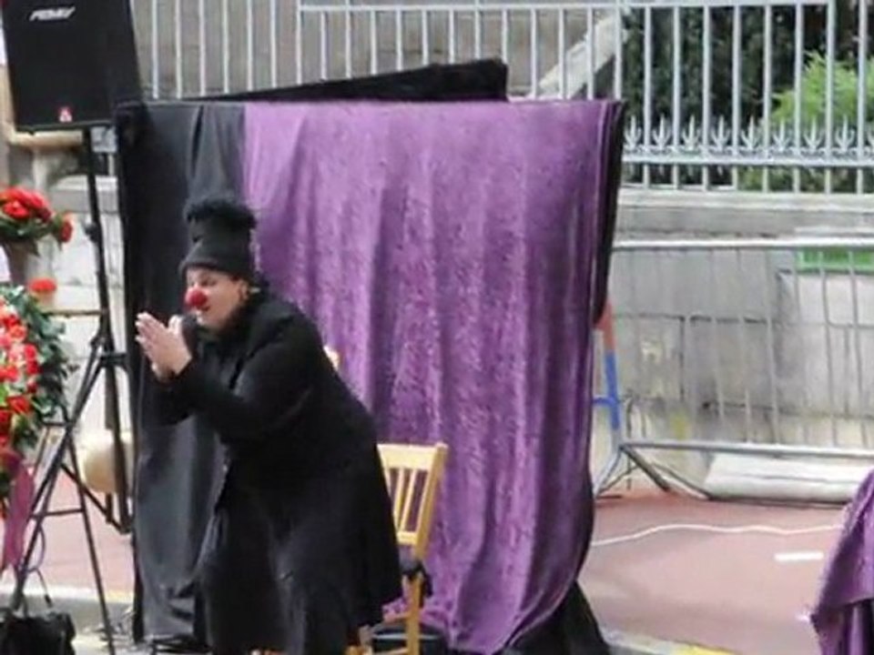 CHALON SUR SAONE 2011 ADIEU VIEILLE CARNE