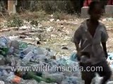 Garbage Collectors Outside New Delhi