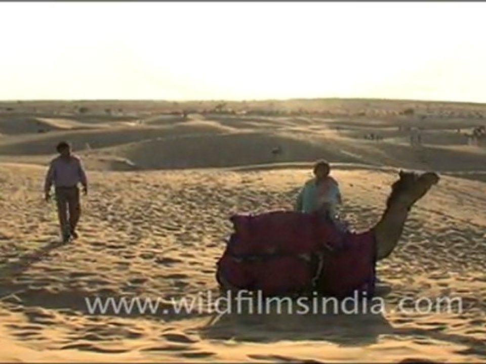 Sam Sand Dunes - Camel Safari