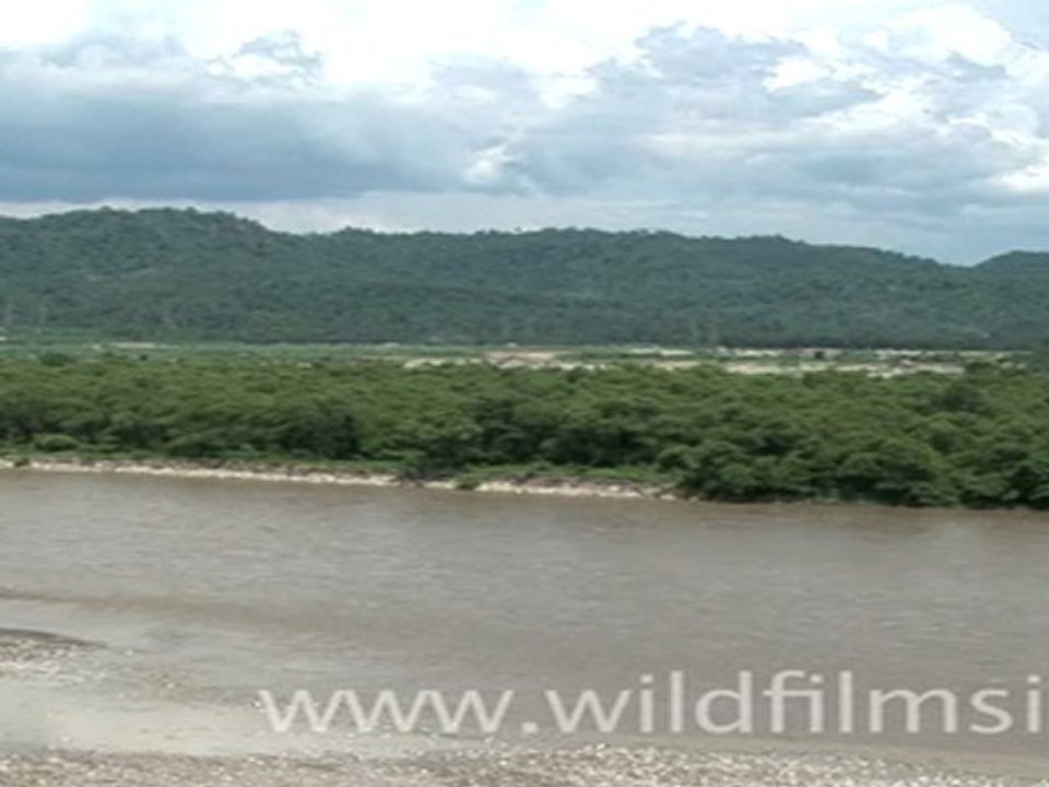 Haridwar