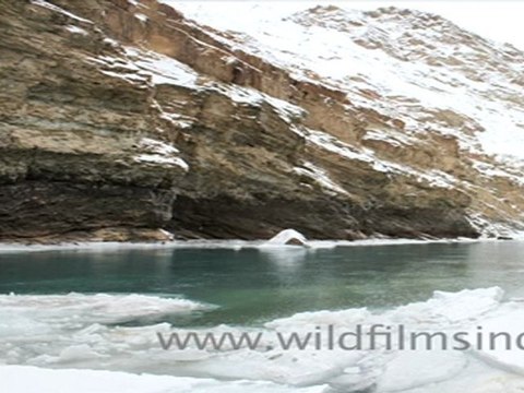 Snow covered mountains in Ladakh
