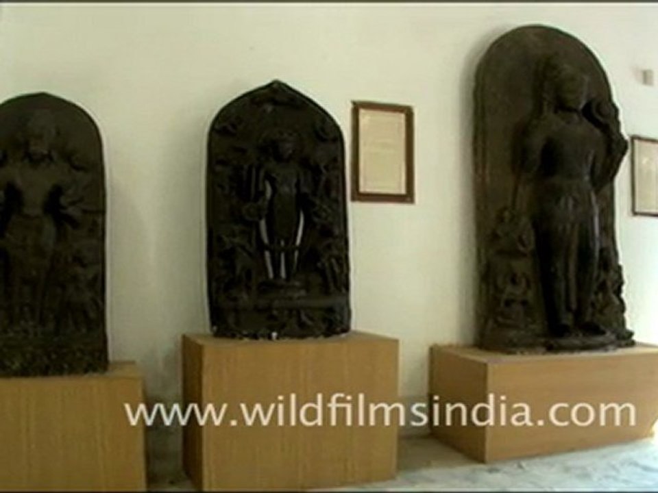Patna Museum, Bihar