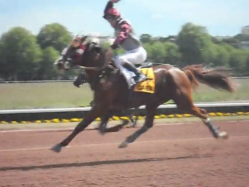 Saint-Léger des Trotteurs 2011 - Victoire de Up Market (Gr.I - 18/05/11)