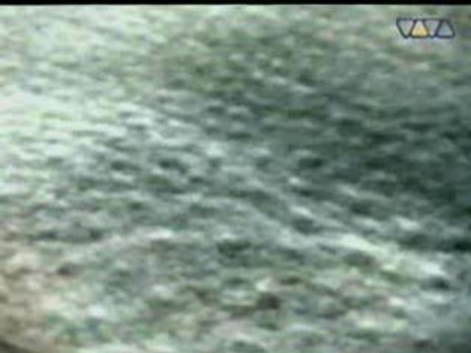 Speedy J - G Spot (PV)