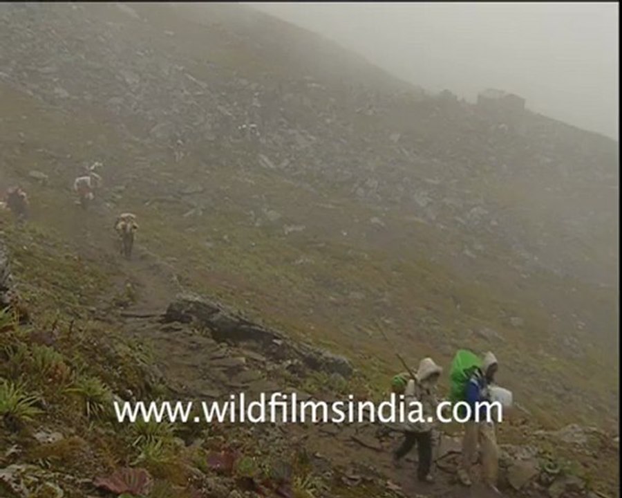 Nanda Devi Raj Jat Yatra, Uttarakhand