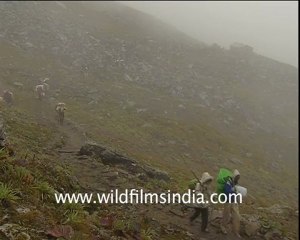 Nanda Devi Raj Jat Yatra, Uttarakhand