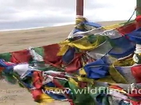 Prayer flags in sikkim