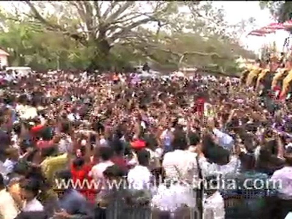 Elephant Festival in India