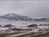 Snow Capped Mountains, Ladakh