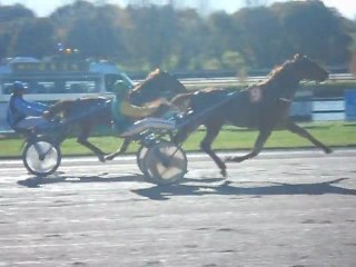 Thierry Duvaldestin / Umar de Feugères - Hippodrome de Laval