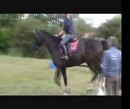 stage rodolphe scherer spring garden gpe 1