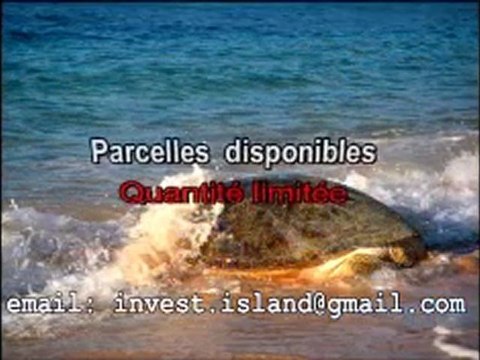 Votre coin de paradis dans l'Océan Indien - Terrains à vendre