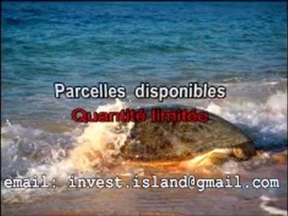 Votre coin de paradis dans l'Océan Indien - Terrains à vendre