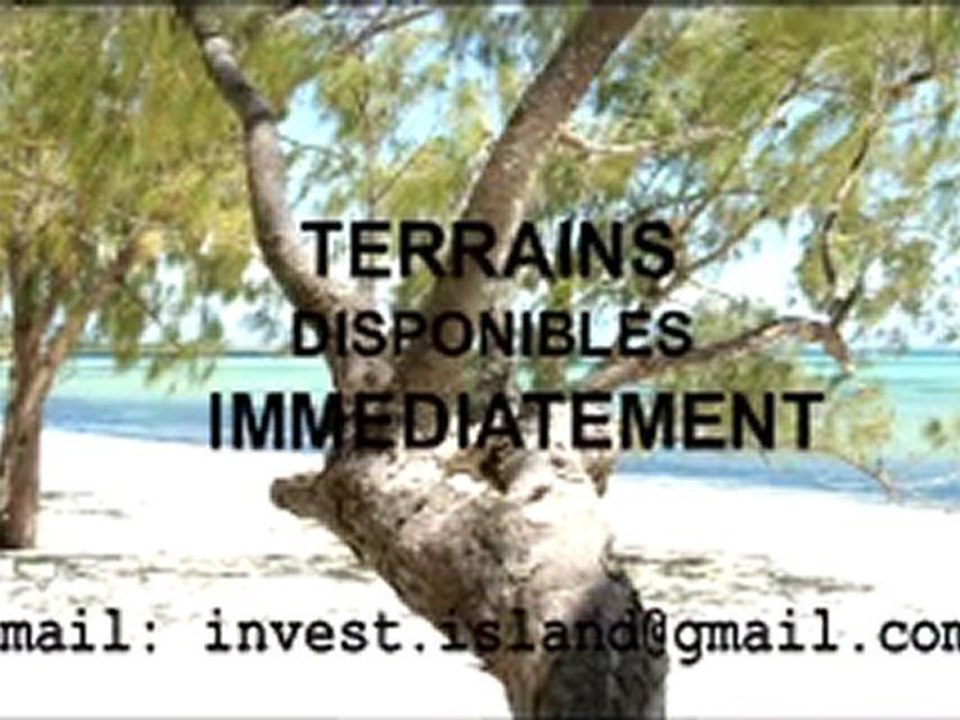 L'une des plus belle plages de la région en face de la mer d'Émeraude - Terrains à vendre KANALAUSTRAL