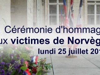 Lyon rend hommage aux victimes de Norvège