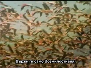 67. СУРА ВЛАДЕНИЕТО (АЛ-МУЛК) 19