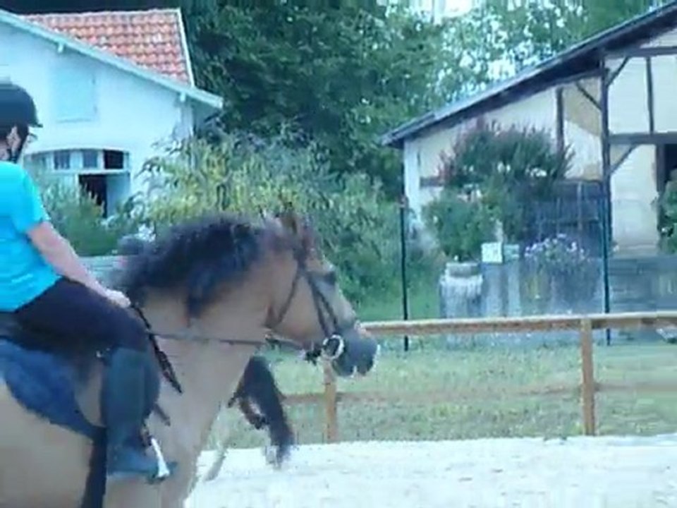 P1410593 CHEVAL - ECURIES D'HABAS