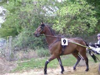 24/07/2011: Samouraï De Godrel