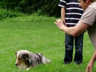 Sprint EVO 3D: How to Direct Animals in 3D