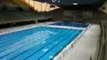 Plongée dans la piscine olympique de Londres