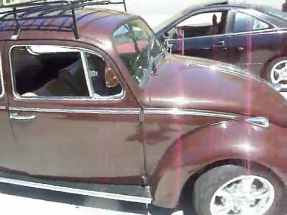42 second bug tour