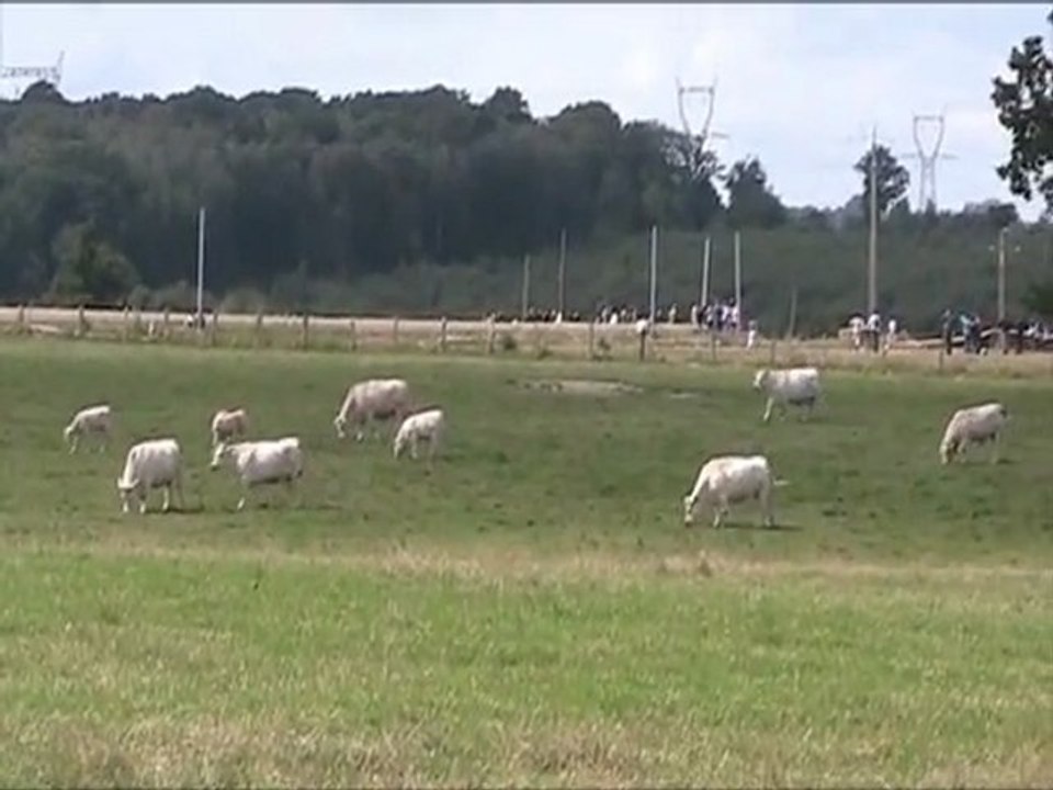 Manu Hervieu - Kalt Bec 201