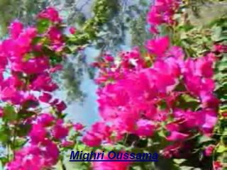 دعـــــــــــاء جمـــــــــــيل يهـــــــــــز المشـــــــــــاعر