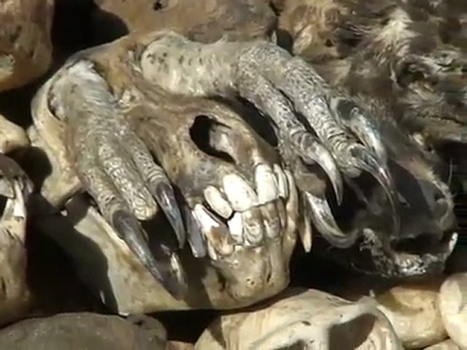 FETICHE, VOODOO DOOL OR GRIGRI
