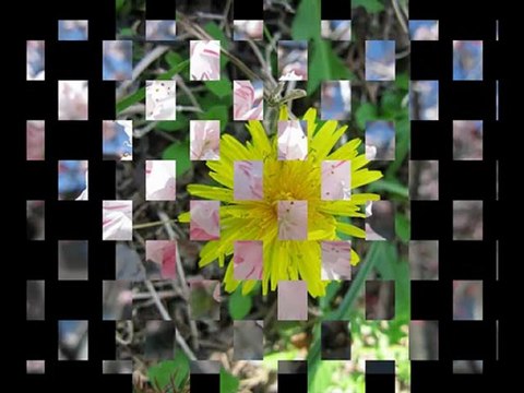 С Днем Рожденья!