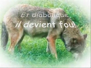 LOUPS et VAMPIRES