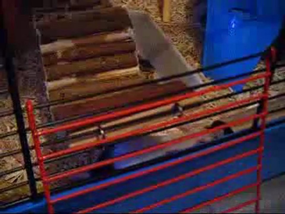 Bandit - sursauts désordonnés 2